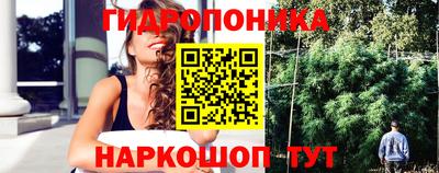 гашик Усть-Джегута