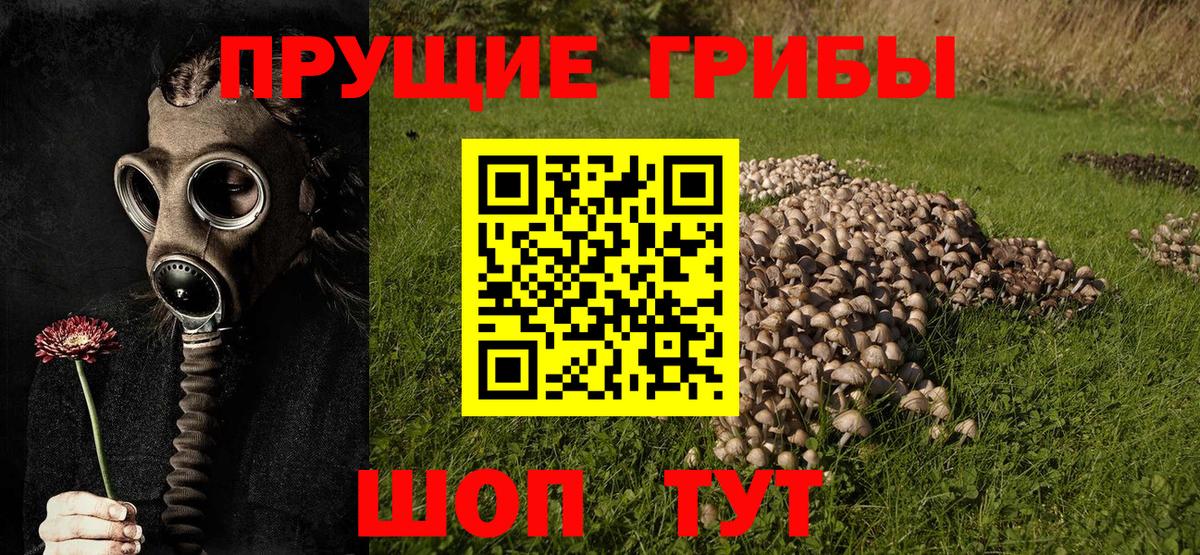 Галлюциногенные грибы GOLDEN TEACHER Магадан