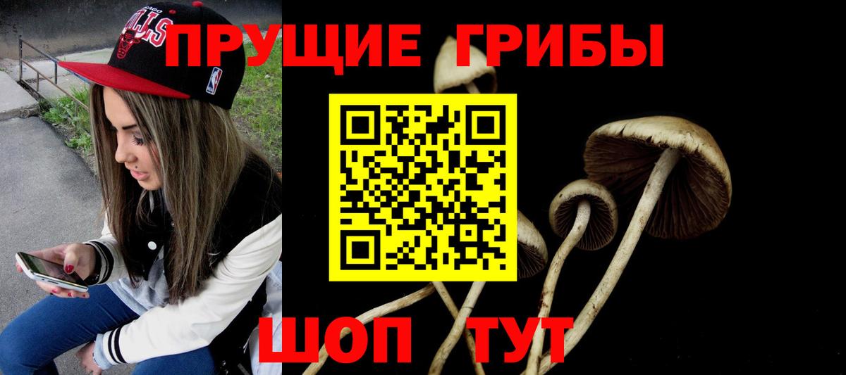 Псилоцибиновые грибы MAGIC MUSHROOMS  Вход с VPN  Магадан 